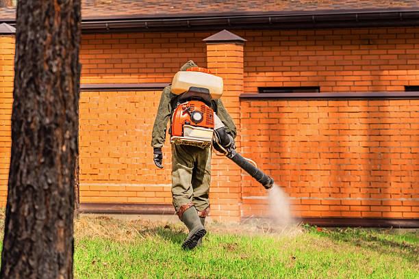 Trusted Termite Control service in New Baltimore, OH - Nex Pest Control